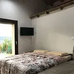 L'armonia Della Natura, Paluvacanze *