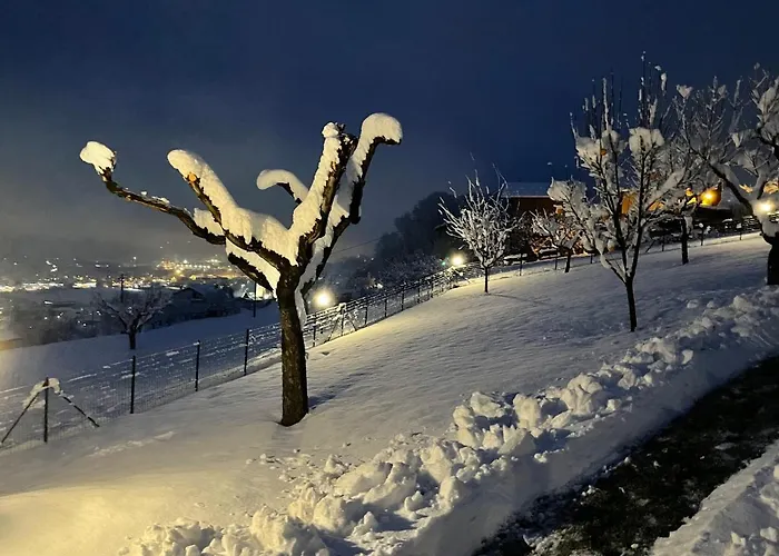 L'armonia Della Natura, Paluvacanze *